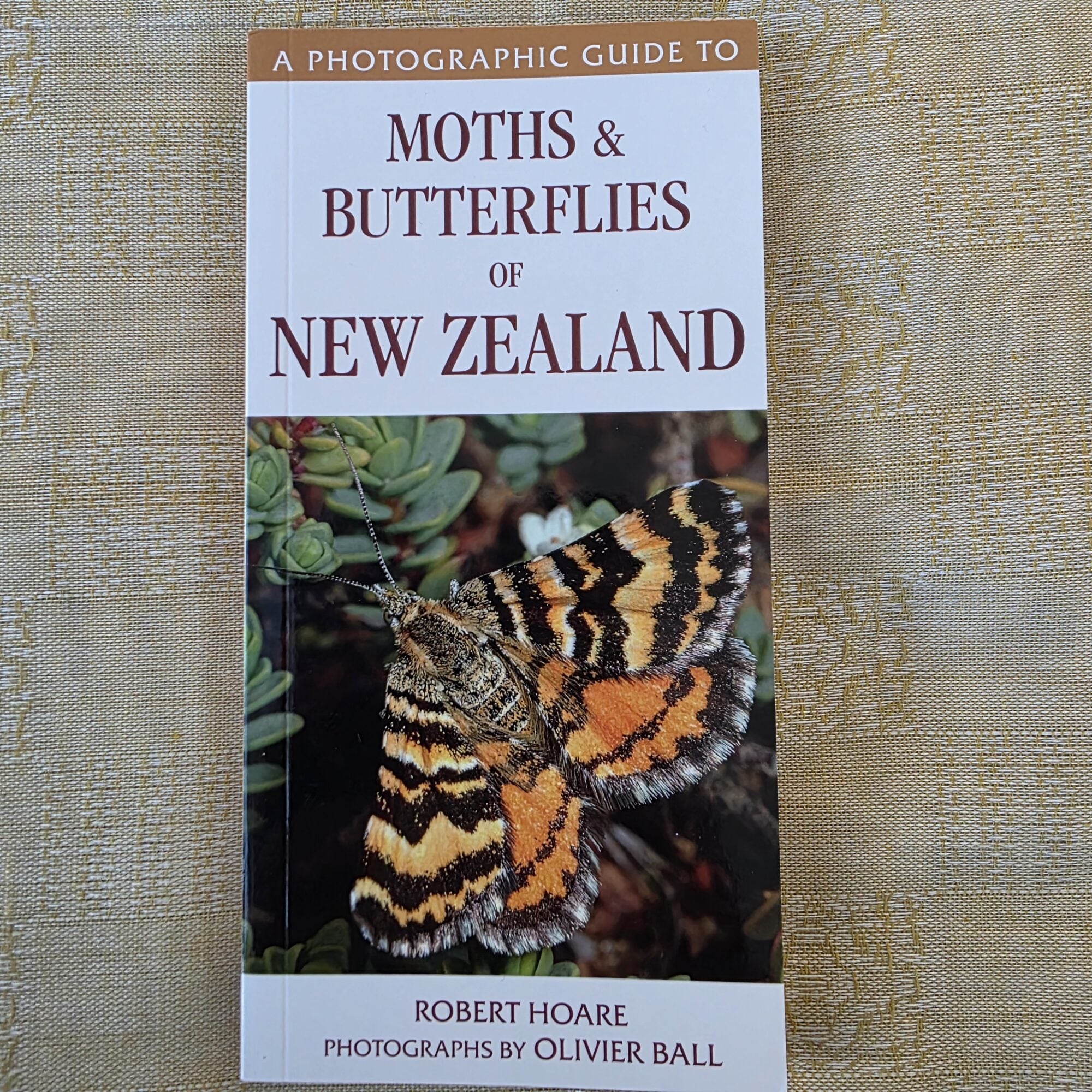 A Photographic Guide to Moths & Butterflies of New Zealand