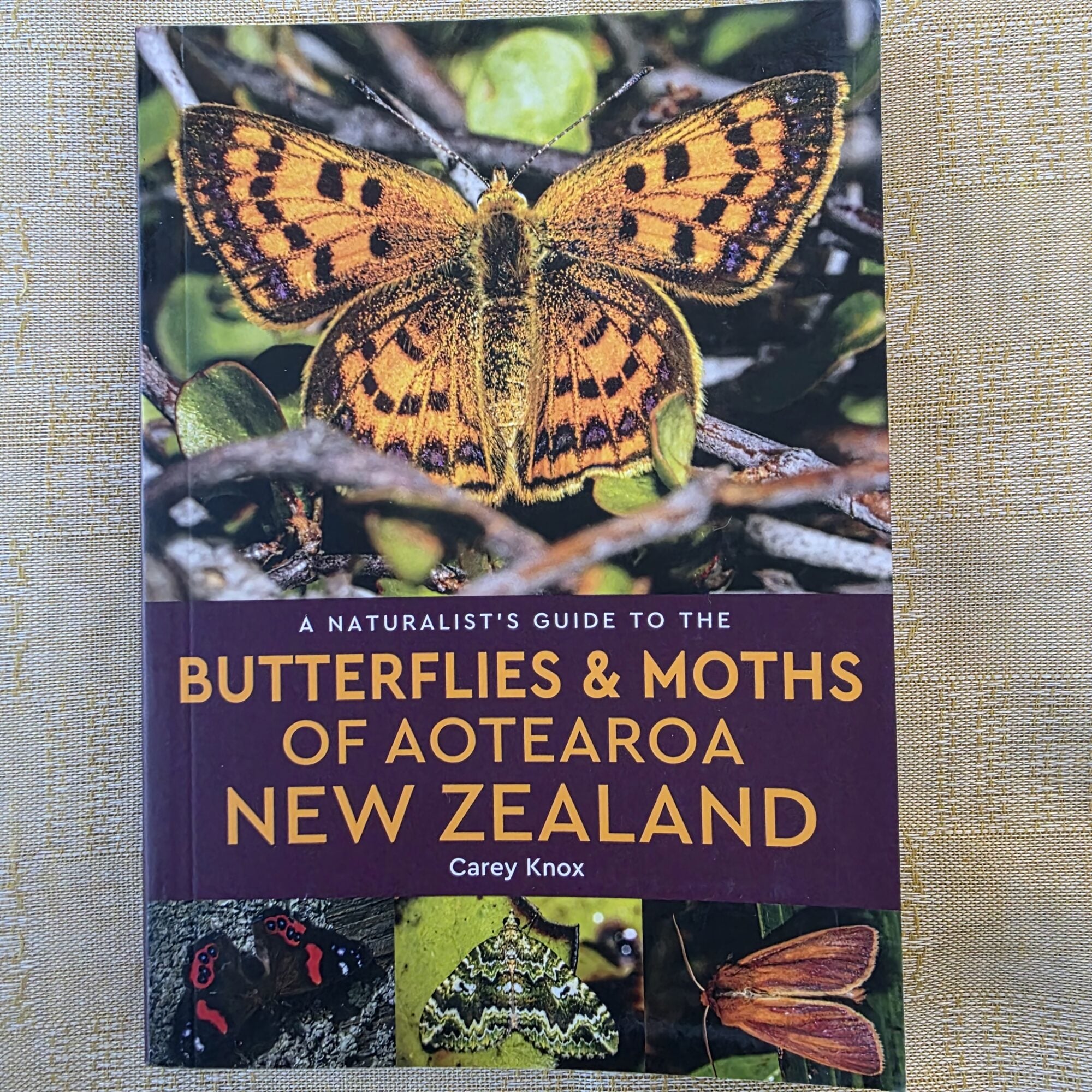 Image of Butterflies & Moths of Aotearoa New Zealand