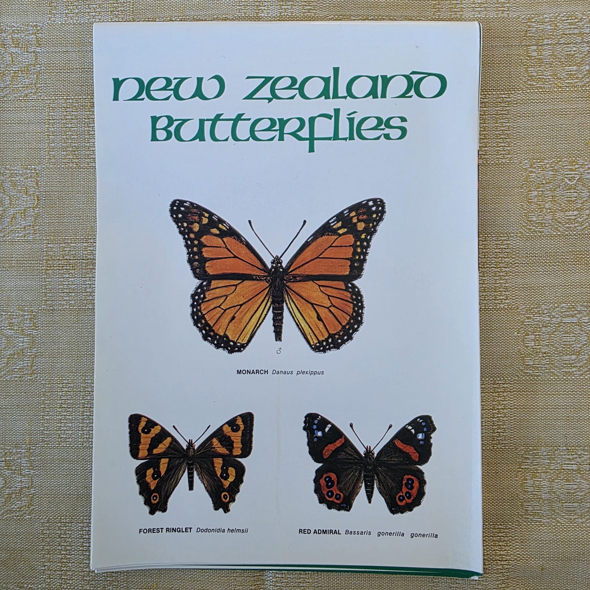 ID Chart - New Zealand Butterflies