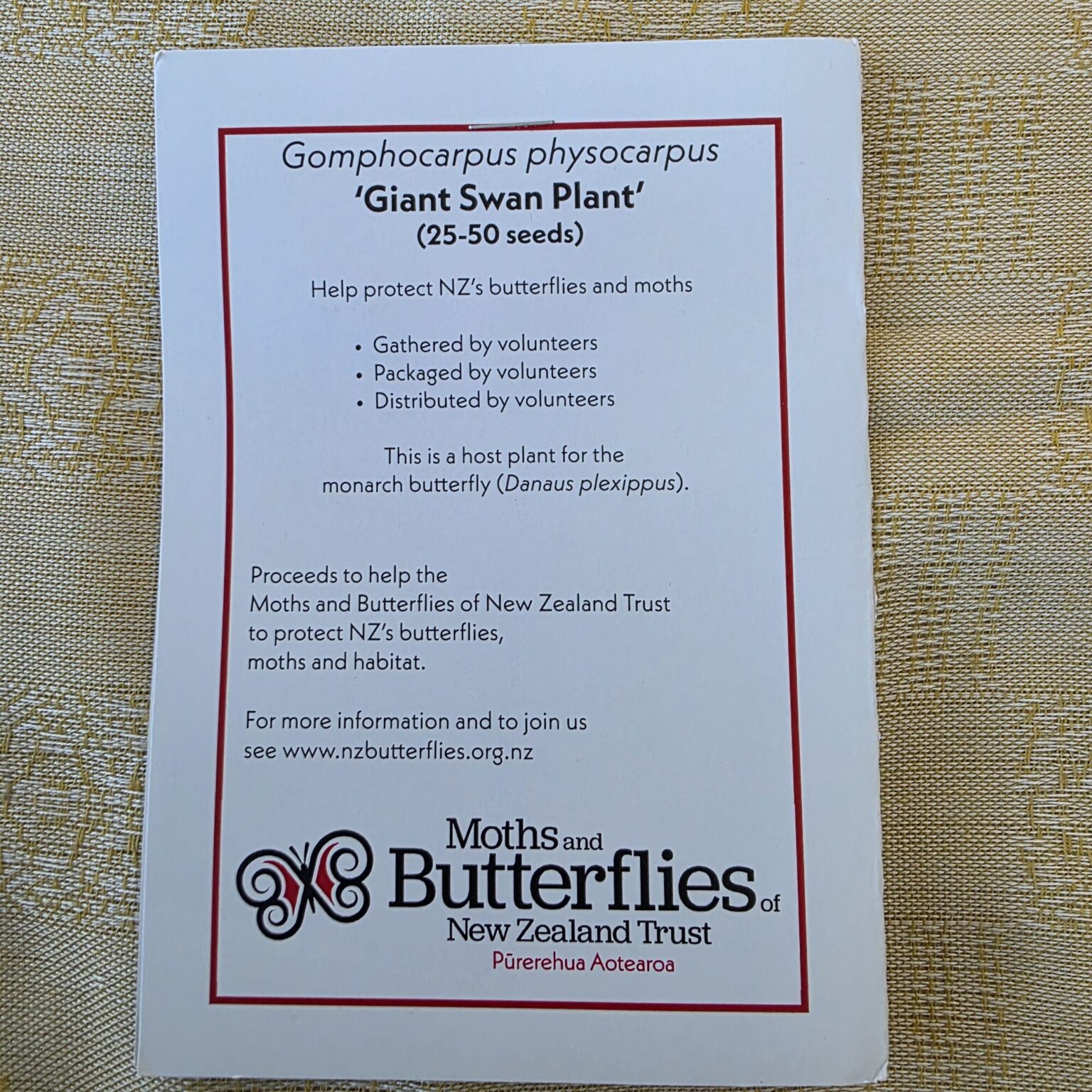 Giant Swan Plant
