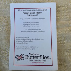 Giant Swan Plant