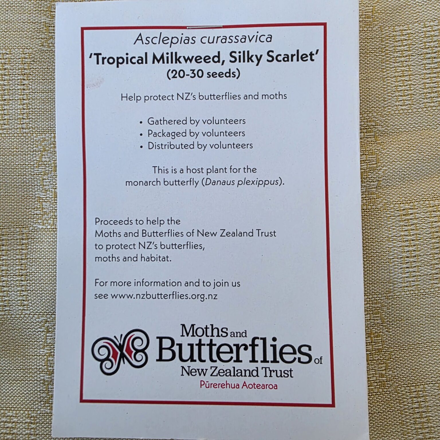 Tropical milkweed Silky Scarlet