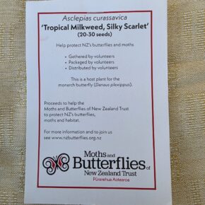 Tropical milkweed Silky Scarlet