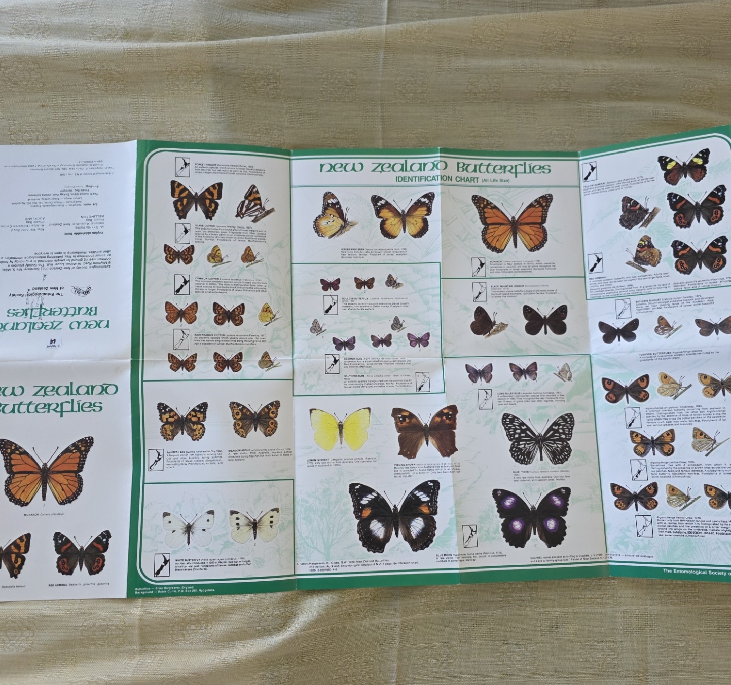 ID Poster