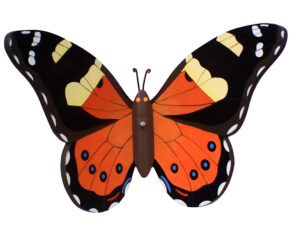 Kiwiana Yellow admiral