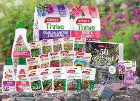 Ngw comp image for website