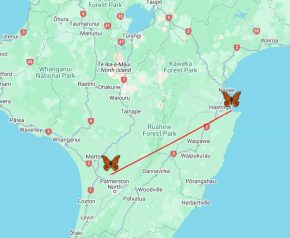 WAA648 Screenshot 2025 02 24