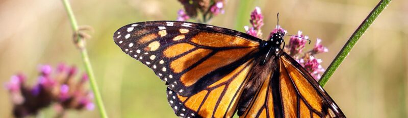 hero_interior-sample-3