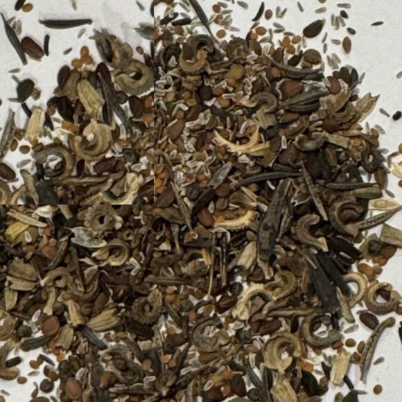 Seeds